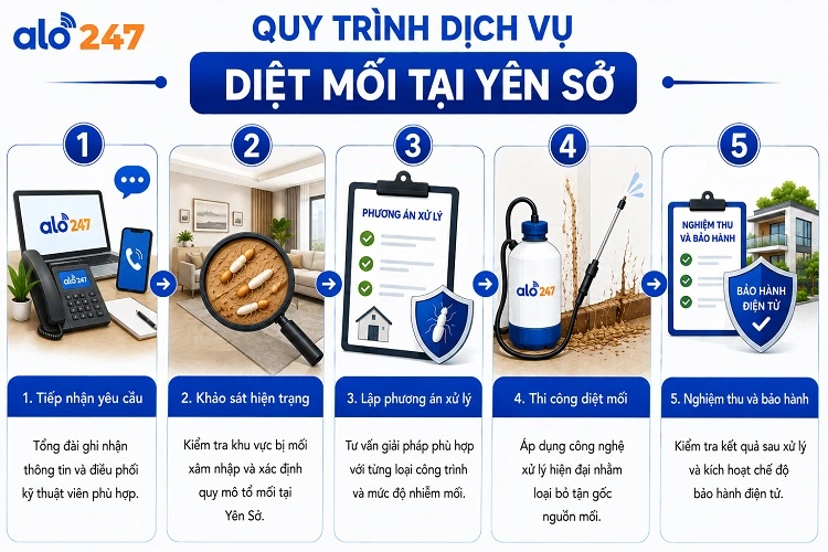 5 bước quy trình dịch vụ xử lý côn trùng của alo247