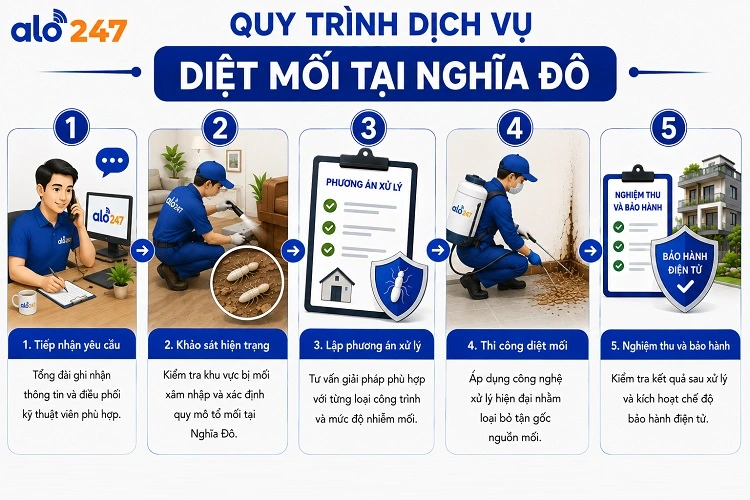 5 bước quy trình dịch vụ xử lý côn trùng tiêu chuẩn của alo247