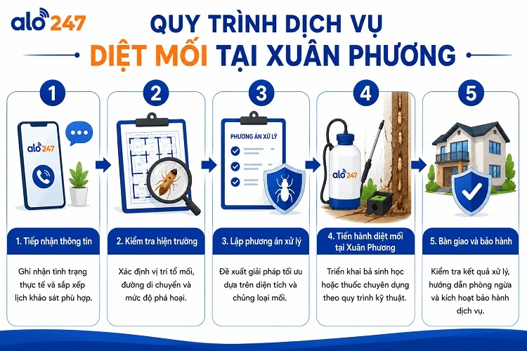 5 bước tiêu chuẩn dịch vụ xử lý côn trùng của Alo247