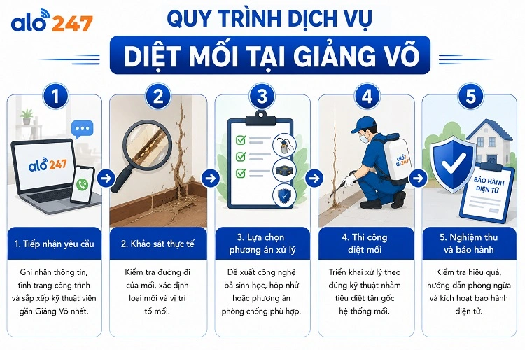 5 bước trong quy trình chống côn trùng của alo247