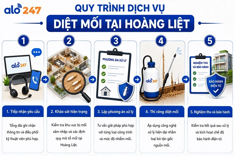 5 bước trong quy trình dịch vụ xử lý côn trùng của alo247