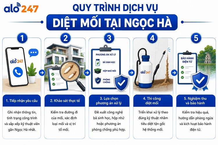 Alo247 5 bước trong quy trình dịch vụ chống côn trùng