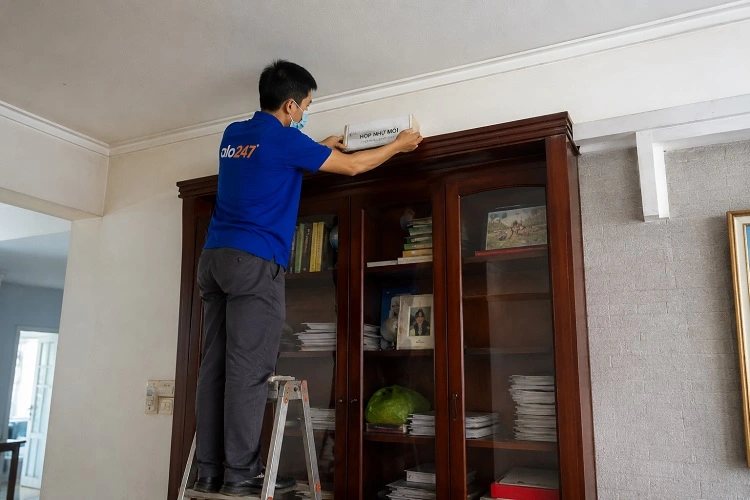 Alo247 Dịch vụ diệt mối tận gốc uy tín tại Giảng Võ