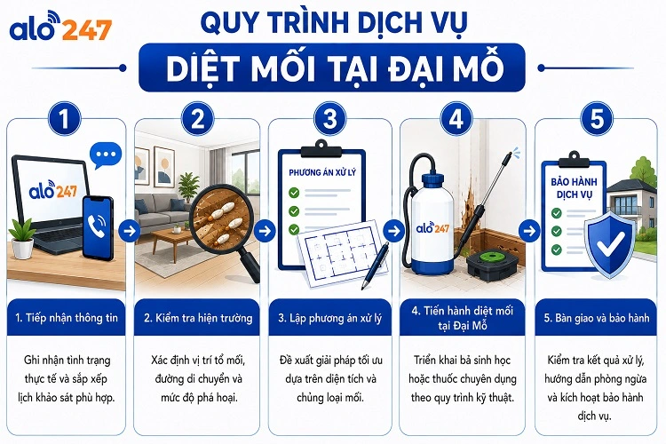 Alo247 Quy trình 5 bước dịch vụ diệt côn trùng tận gốc