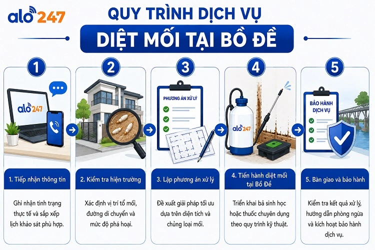 Alo247 Quy trình 5 bước xử lý côn trùng triệt để