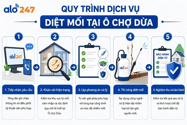 Alo247 Quy trình dịch vụ chống côn trùng tận gốc