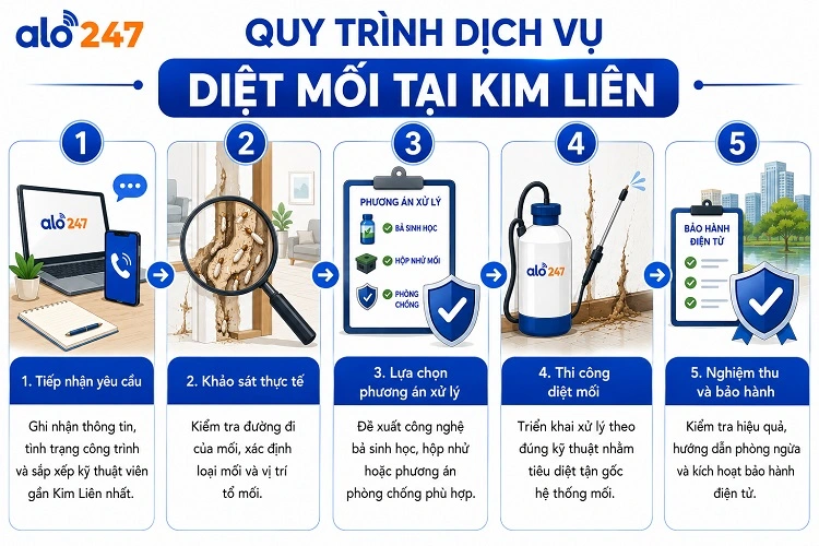 Alo247 Quy trình dịch vụ chống côn trùng