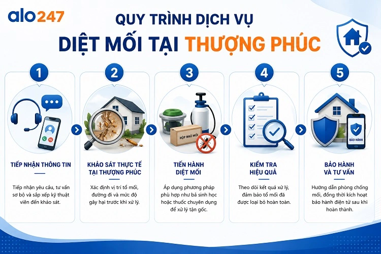 Alo247 Quy trình dịch vụ diệt côn trùng tiêu chuẩn