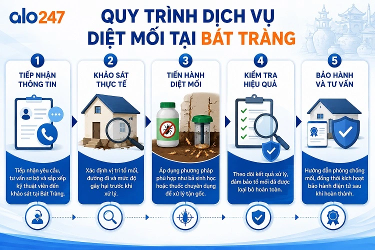 Alo247 Quy trình dịch vụ diệt mối tận gốc tại Bát Tràng