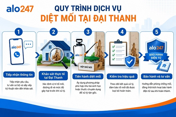 Alo247 Quy trình dịch vụ diệt mối tận gốc tại Đại Thanh
