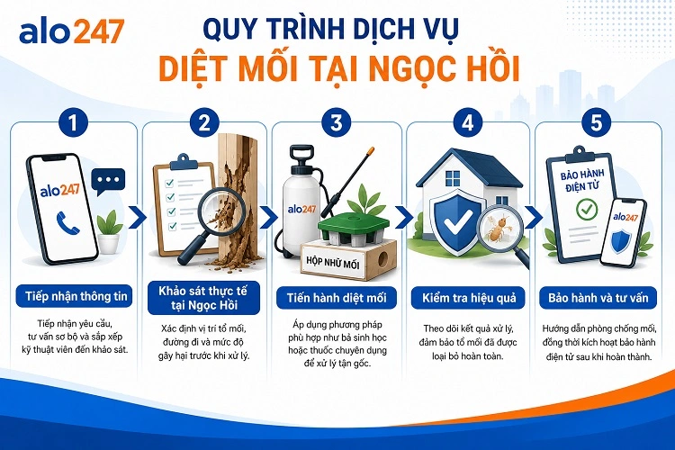 Alo247 Quy trình dịch vụ diệt mối tận gốc tại Ngọc Hồi