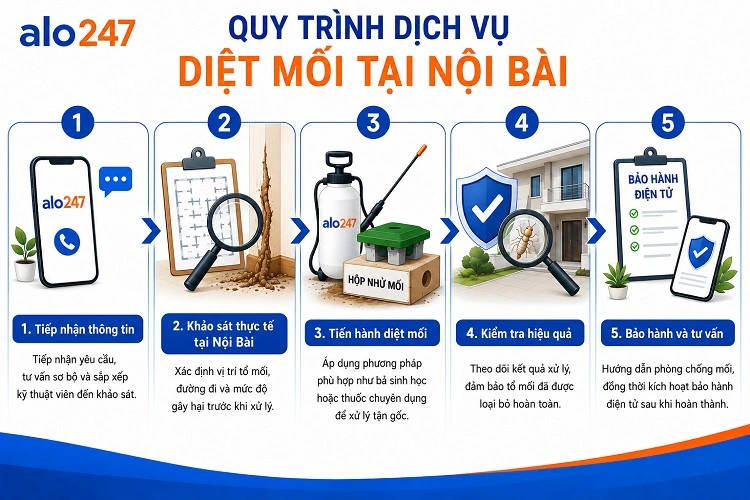 Alo247 Quy trình dịch vụ diệt mối tận gốc tại Nội Bài