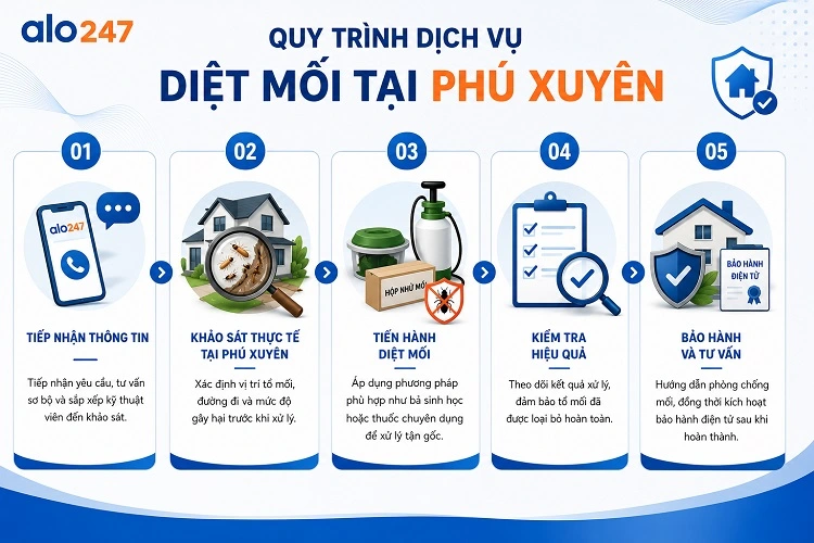 Alo247 Quy trình dịch vụ diệt mối tận gốc tại Phú Xuyên