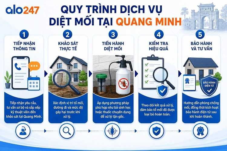 Alo247 Quy trình dịch vụ diệt mối tận gốc tại Quang Minh
