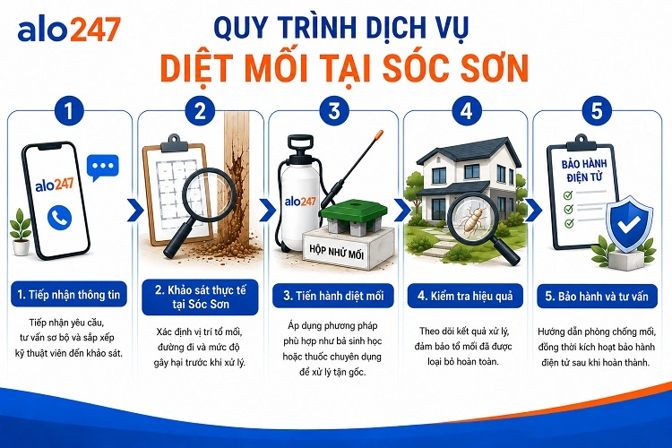 Alo247 Quy trình dịch vụ diệt mối tận gốc tại Sóc Sơn