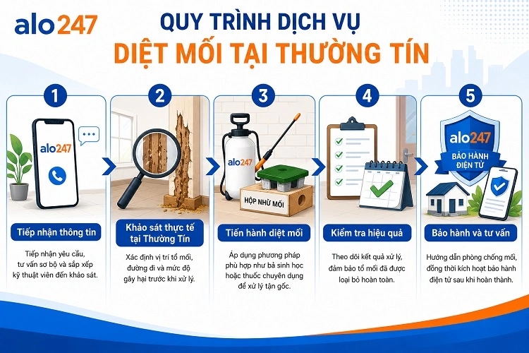 Alo247 Quy trình dịch vụ diệt mối tận gốc tại Thường Tín