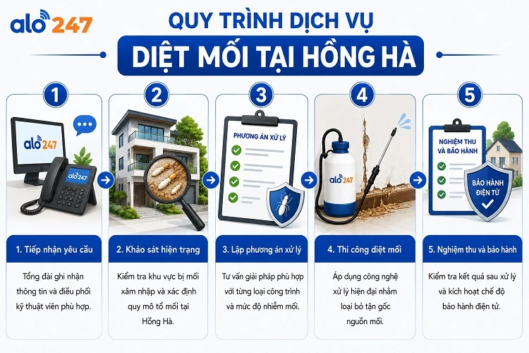 Alo247 Quy trình dịch vụ xử lý côn trùng