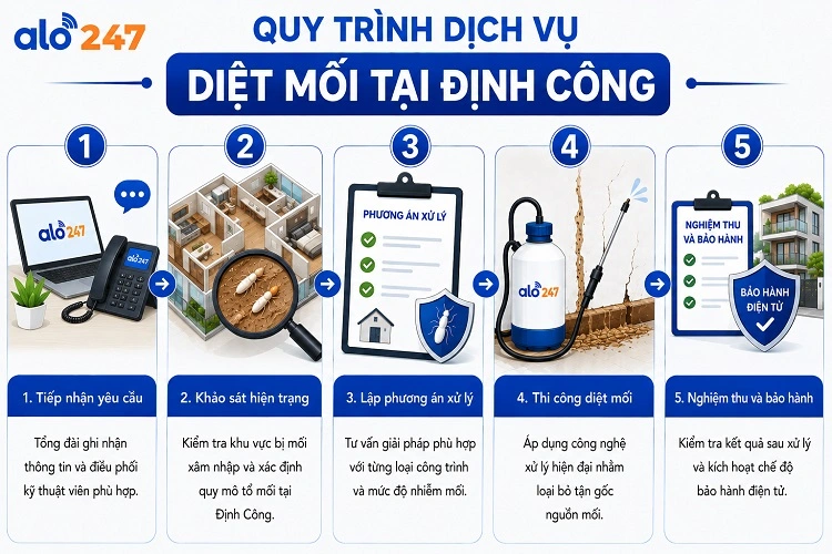 Alo247 quy trình dịch vụ xử lý côn trùng