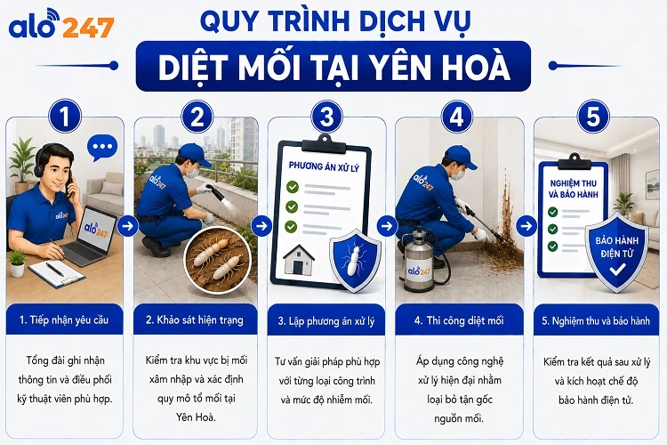 Alo247 quy trình dịch vụ xử lý côn trùng tiêu chuẩn