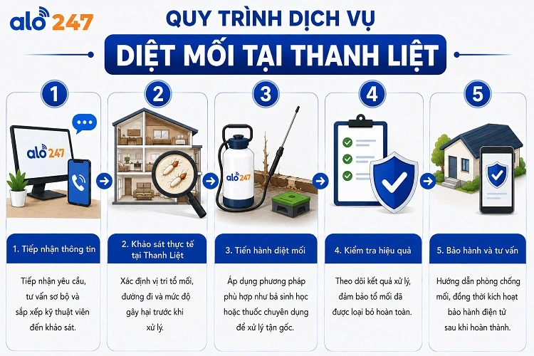 Alo247 têu chuẩn quy trình dịch vụ chống côn trùng