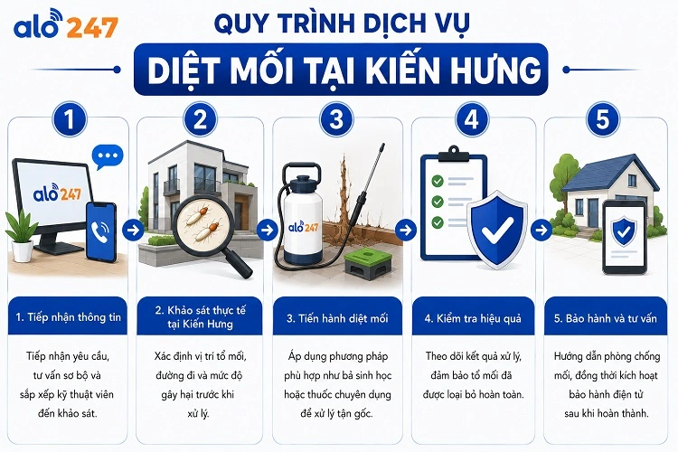 Dịch vụ chống côn trùng chuyên nghiệp tại Alo247