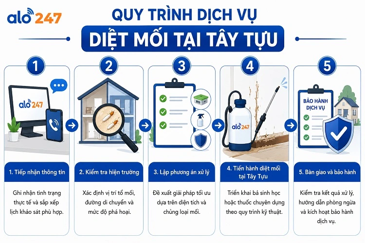 Quy trình 5 bước xử lý côn trùng tận gốc của Alo247
