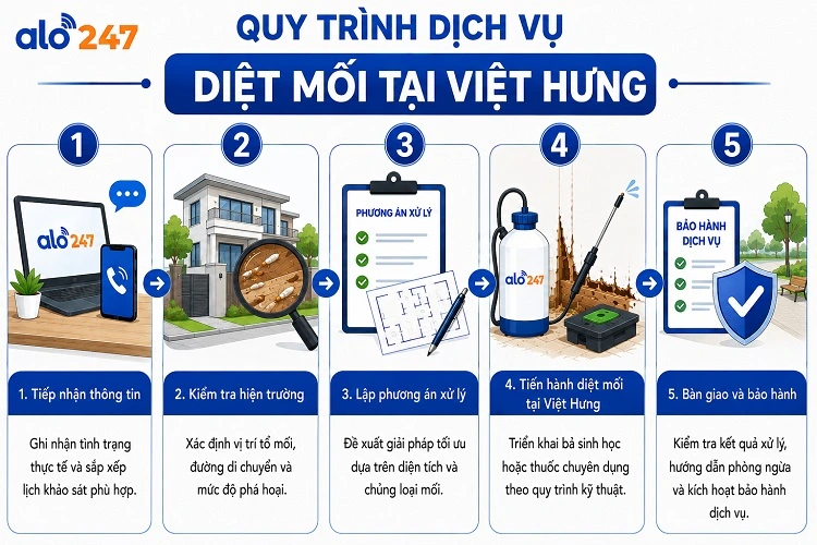 Quy trình dịch vụ chống côn trùng 5 bước của Alo247