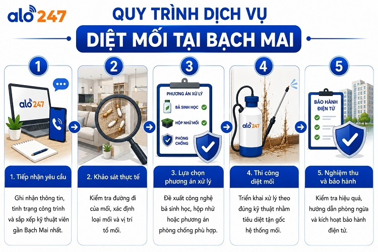 Quy trình dịch vụ chống côn trùng của Alo247