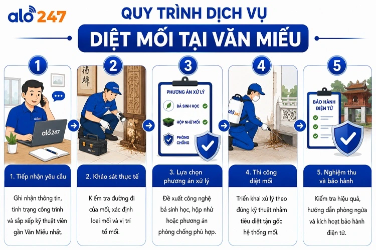 Quy trình dịch vụ chống côn trùng gồm 5 bước của alo247