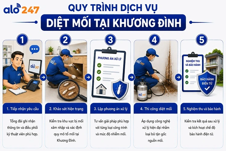 Quy trình dịch vụ xử lý côn trùng của alo247
