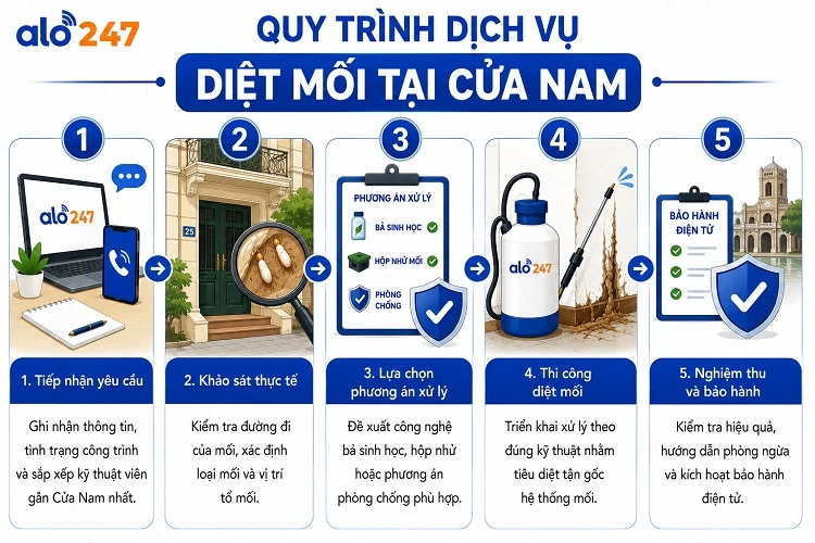 Quy-trình-dịch-vụ-xử-lý-côn-trùng-của-alo247