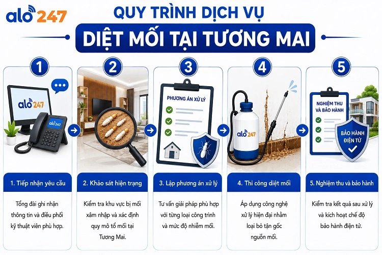 Quy trình dịch vụ xử lý côn trùng tận gốc của alo247