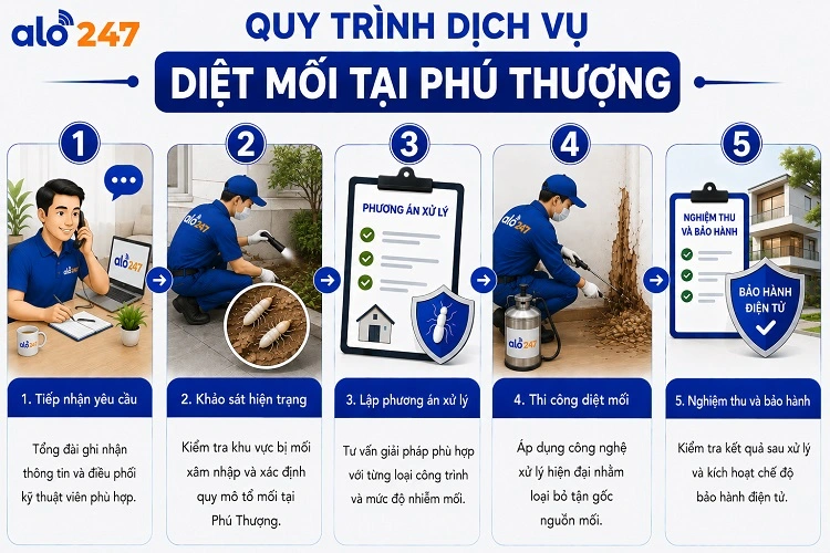 Quy trình dịch vụ xử lý côn trùng tiêu chuẩn của alo247
