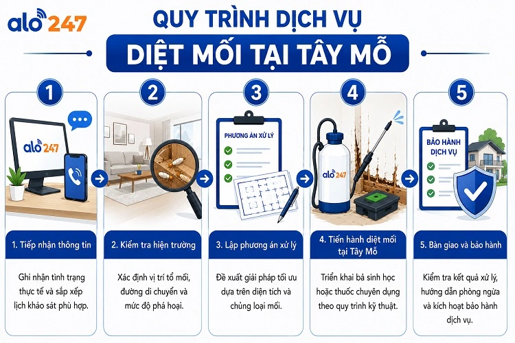 Quy trình kiểm soát côn trùng 5 bước - Alo247