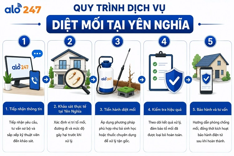 Quy trình xử lý côn trùng Alo247