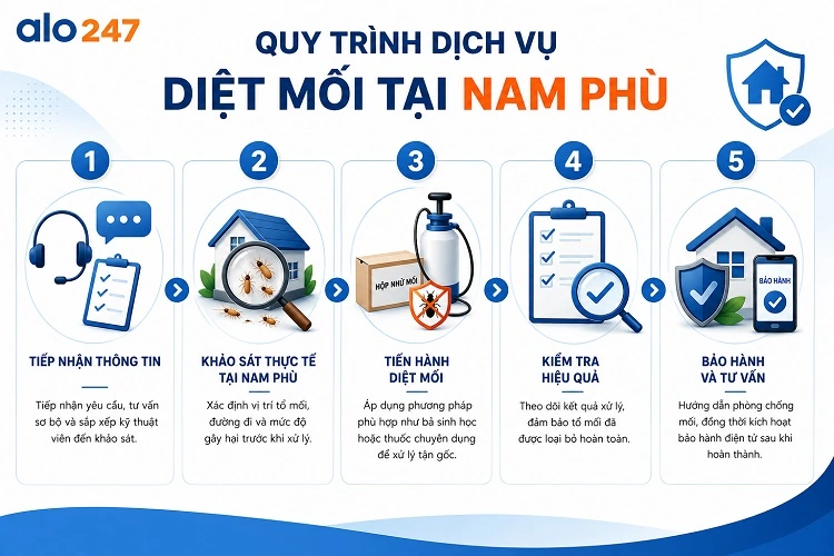 Quy trình xử lý mối tận gốc của alo247