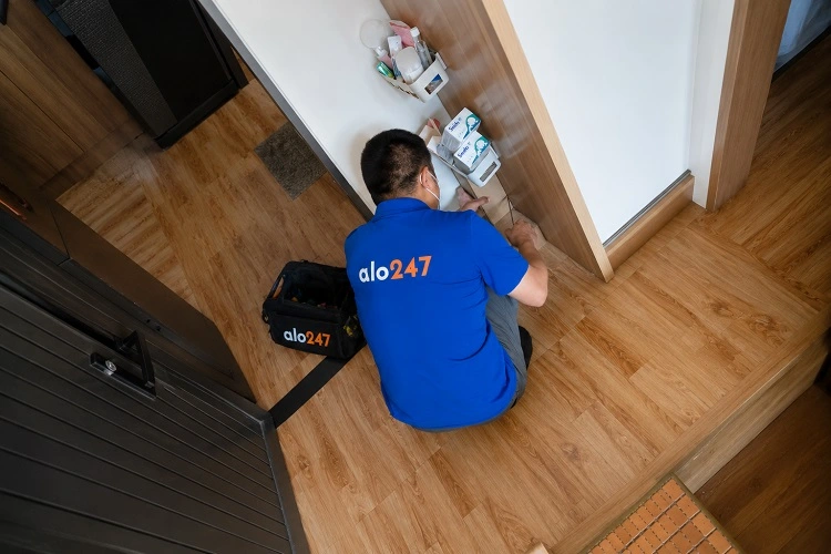 Thợ alo247 diệt mối bằng việc đặt hộp nhử mối tại Giảng Võ