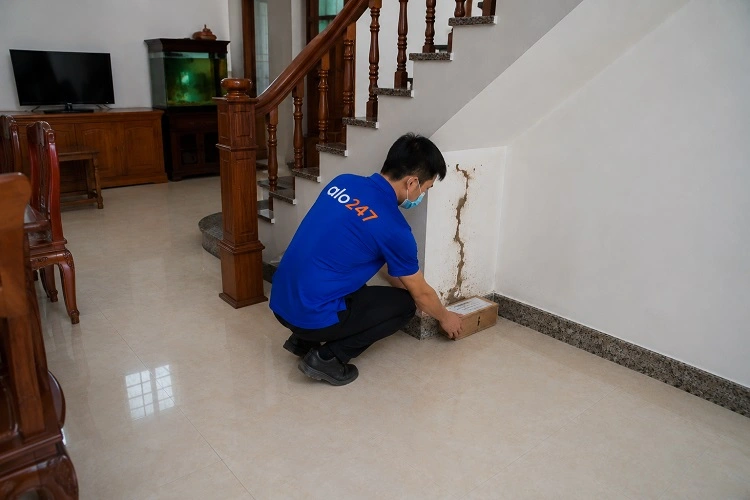 Thợ alo247 diệt mối bằng việc đặt hộp nhử mối tại Hà Đông