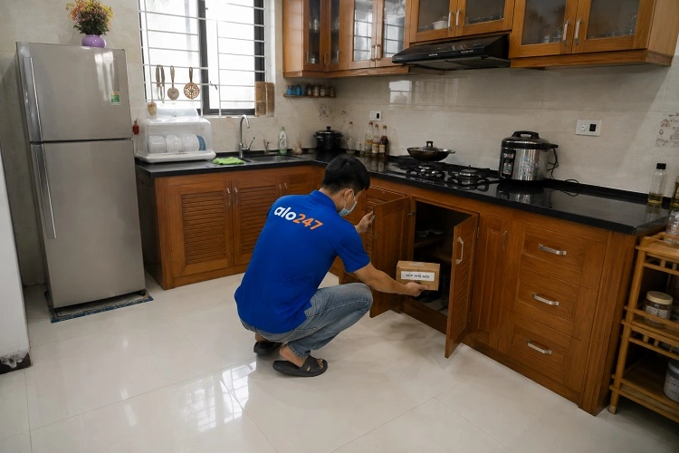 Thợ alo247 diệt mối bằng việc đặt hộp nhử mối tại Hoàng Liệt