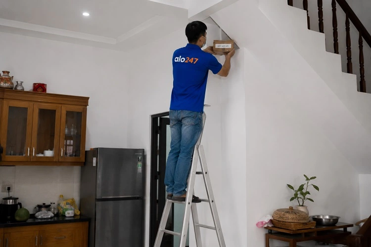 Thợ alo247 diệt mối bằng việc đặt hộp nhử mối tại Phú Lương