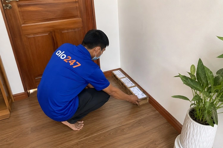 Thợ alo247 diệt mối bằng việc đặt hộp nhử mối tại Tây Mỗ