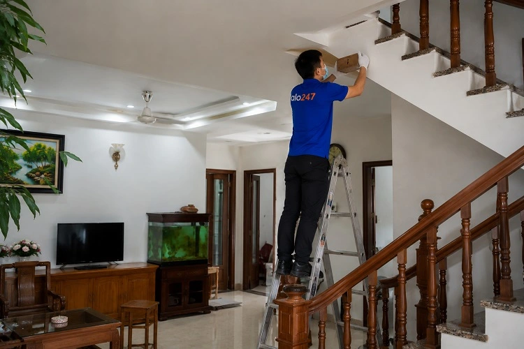 Thợ alo247 diệt mối bằng việc đặt hộp nhử mối tại Thanh Liệt