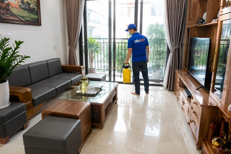 Thợ alo247 diệt mối tận gốc tại Ô chợ Dừa