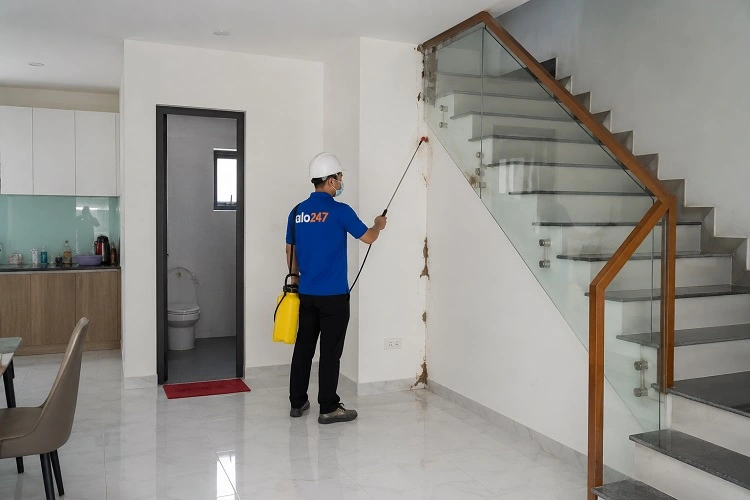 Thợ alo247 phun thuốc diệt mối sinh học tại Hoàng Liệt
