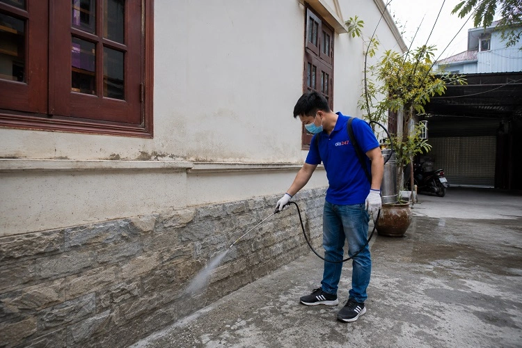 Thợ alo247 phun thuốc diệt mối sinh học tại Nam Phù
