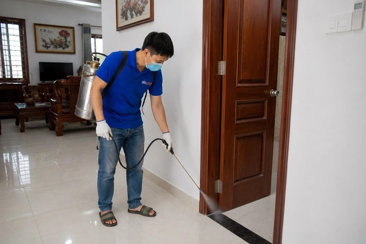 Thợ alo247 phun thuốc diệt mối sinh học tại Phú Lương