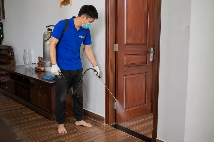 Thợ alo247 phun thuốc diệt mối sinh học tại Thanh Liệt