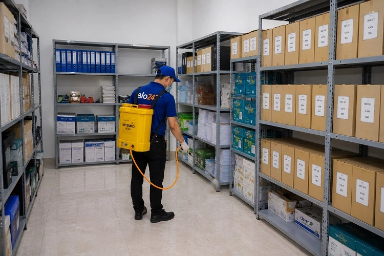 Thợ alo247 phun thuốc diệt mối sinh học tại Xuân Đỉnh