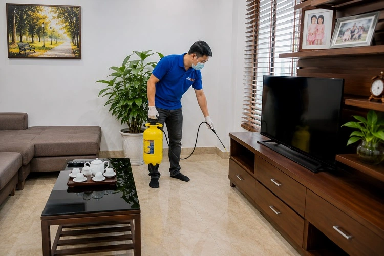 Thợ alo247 phun thuốc diệt mối sinh học tại Xuân Phương