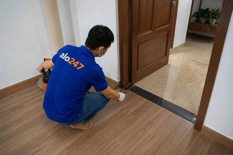 Thợ alo247 phun thuốc diệt mối sinh học tại Yên Nghĩa